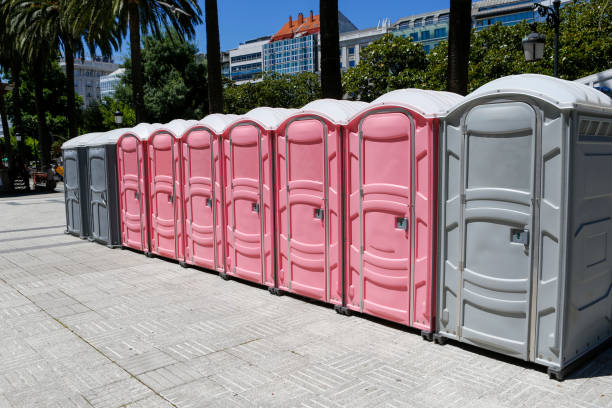 Best Construction Site Portable Toilets  in Fraser, MI